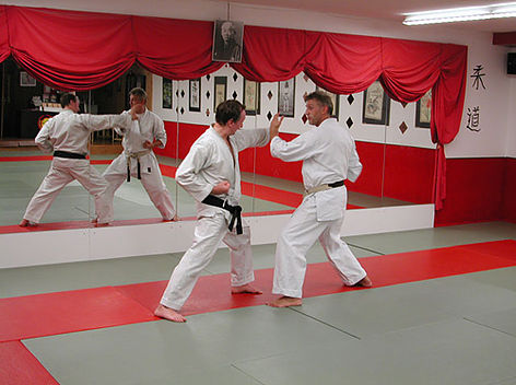 Karate-Training: Technik und Partnerübungen